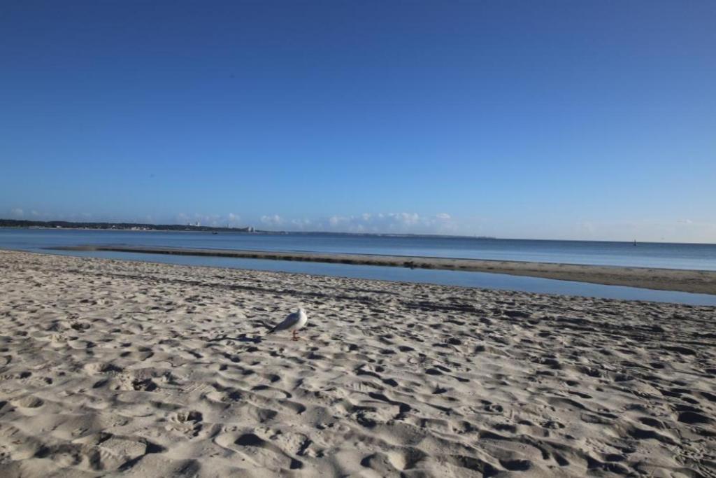 Ferienwohnung Seesternchen 1 Scharbeutz Buitenkant foto